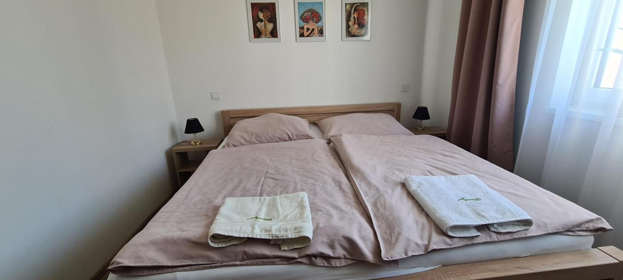 Frýdlant nad Ostravicí Apartman U Toma מראה חיצוני תמונה
